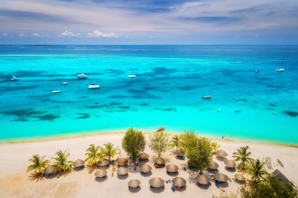 aerial-view-of-umbrellas-green-palms-on-the-sandy-2023-11-27-04-58-27-utc
